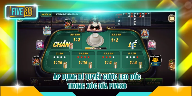 Áp dụng bí quyết cược leo dốc trong xóc đĩa FIVE88